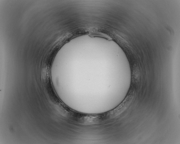X0000112400172200909110937