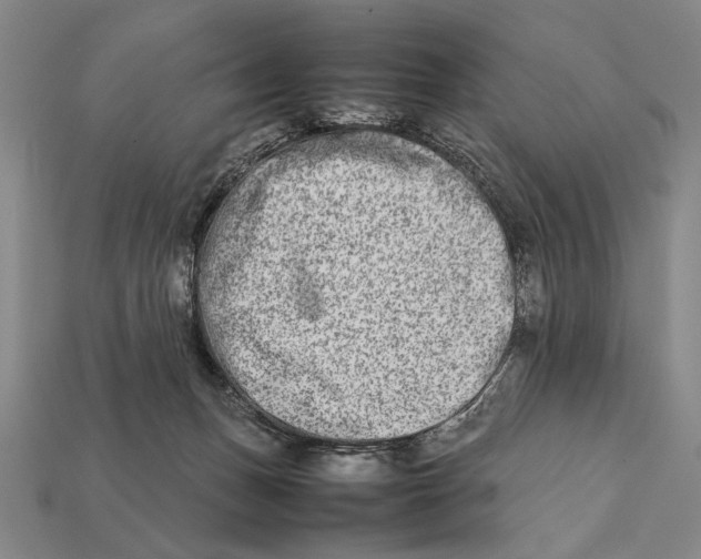 X0000112400175200909110937