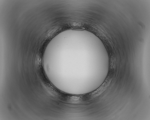 X0000112400176200909110937