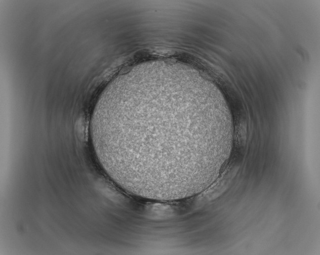 X0000112400180200909110937