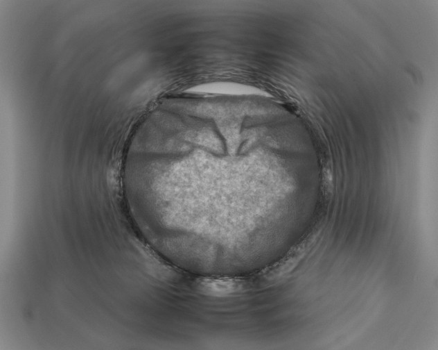 X0000112400181200909110937