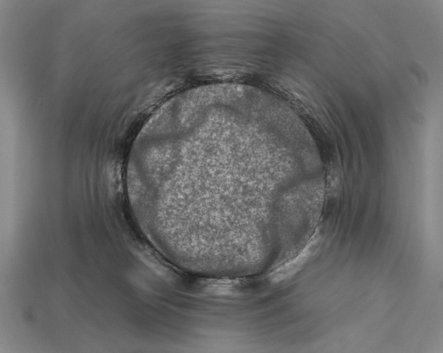 X0000112400182200909110937