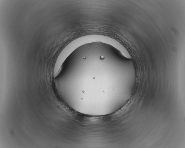 X0000112400184200909110937