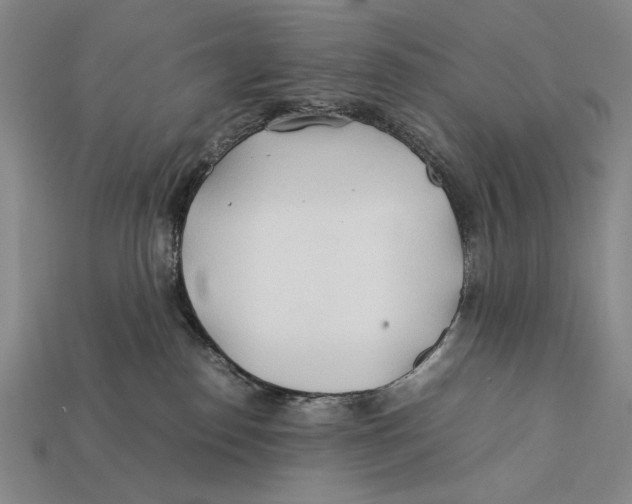 X0000112400186200909110937