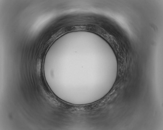 X0000112400194200909110936