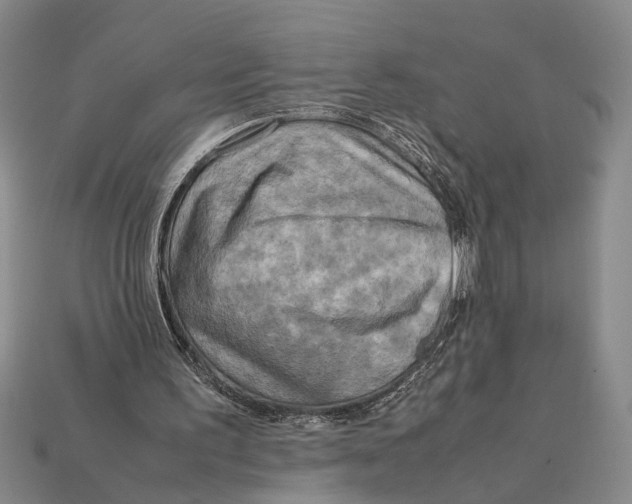 X0000112400195200909110936