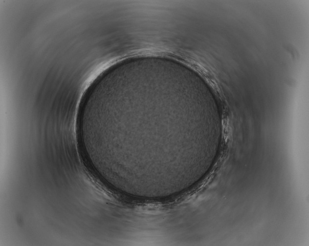 X0000112400196200909110936