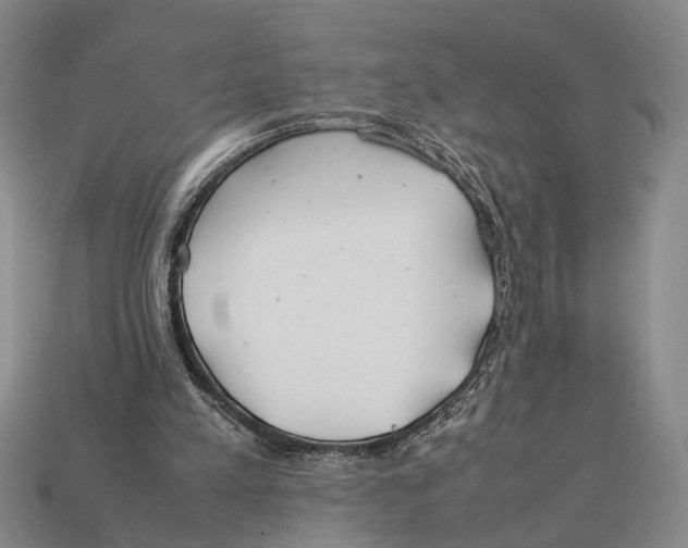 X0000112400197200909110936