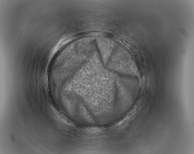X0000112400198200909110936