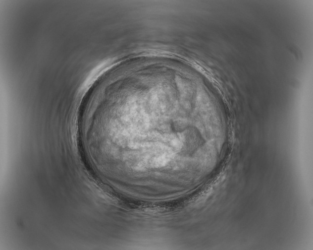 X0000112400199200909110936