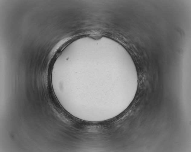 X0000112400200200909110936