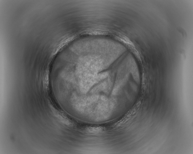 X0000112400202200909110936