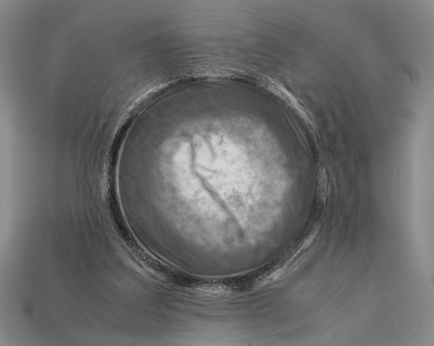 X0000112400203200909110936