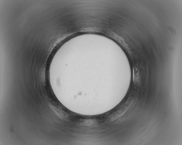 X0000112400204200909110936