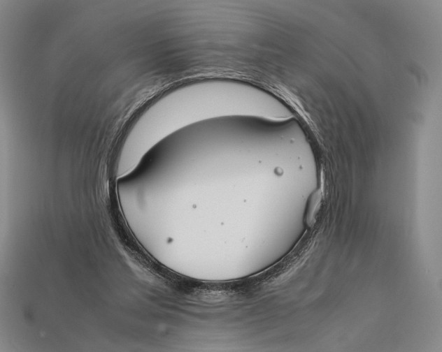 X0000112400205200909110936