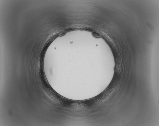 X0000112400207200909110936