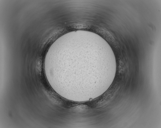 X0000112400210200909110936
