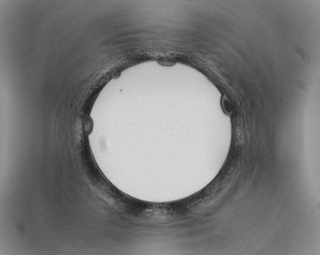 X0000112400211200909110936