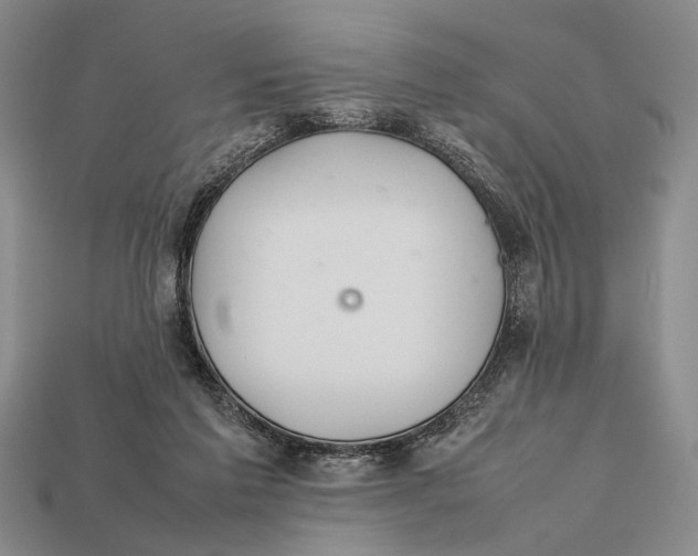 X0000112400213200909110936