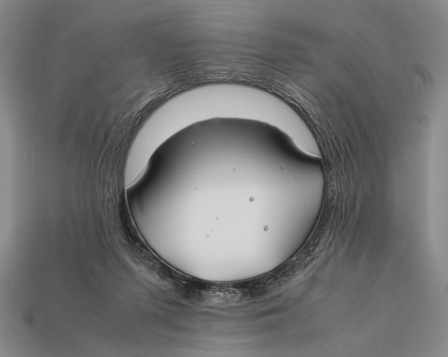 X0000112400215200909110936