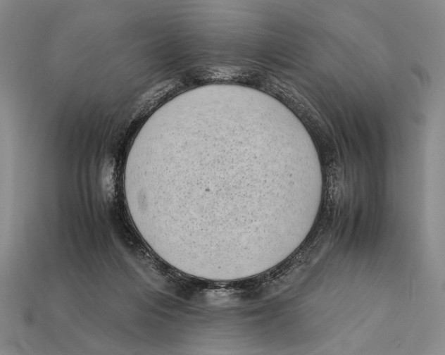 X0000112400216200909110936