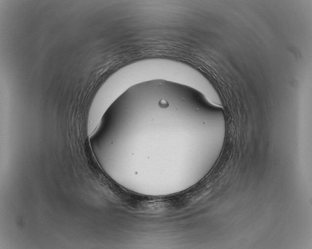 X0000112400219200909110936