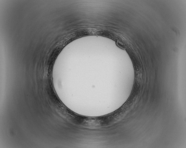 X0000112400221200909110936