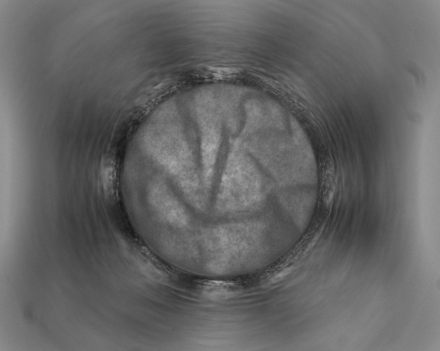 X0000112400222200909110936