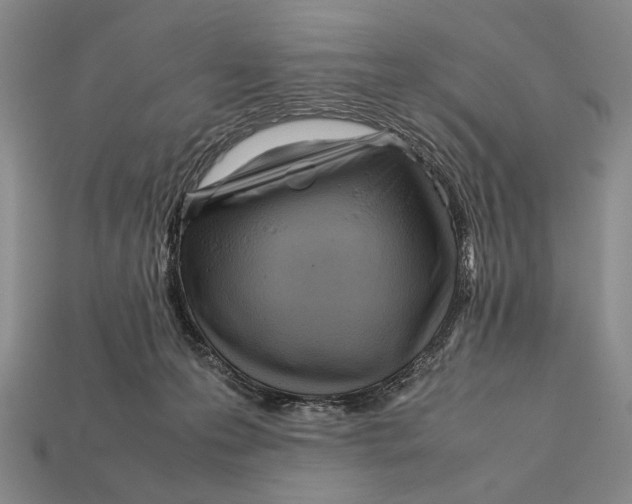 X0000112400223200909110936
