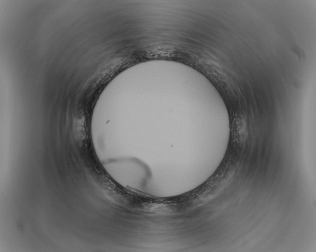 X0000112400224200909110936