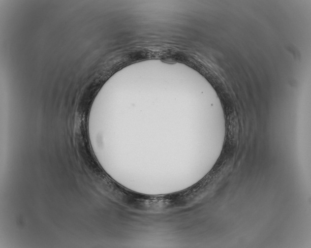 X0000112400225200909110936