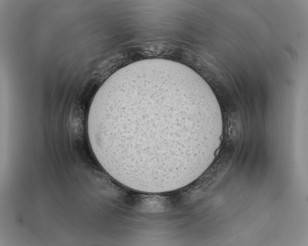 X0000112400226200909110936