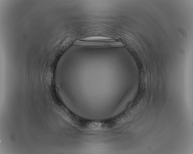 X0000112400227200909110936