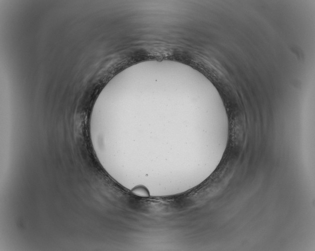 X0000112400229200909110936