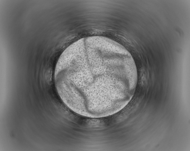 X0000112400230200909110936