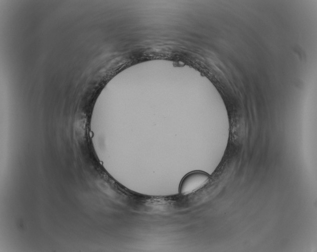 X0000112400231200909110936