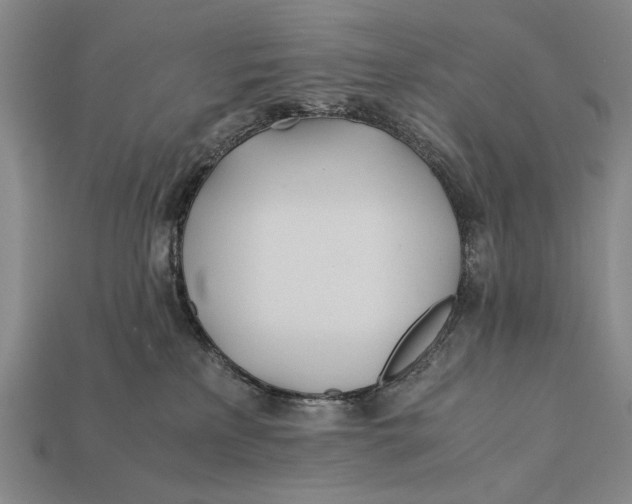 X0000112400233200909110936