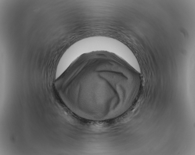 X0000112400235200909110936