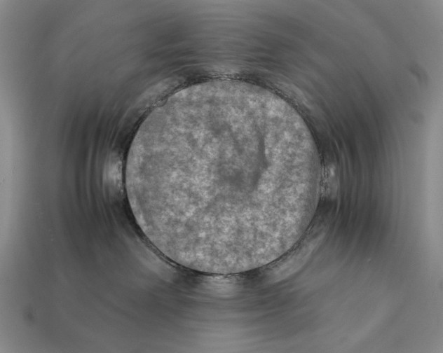 X0000112400238200909110936