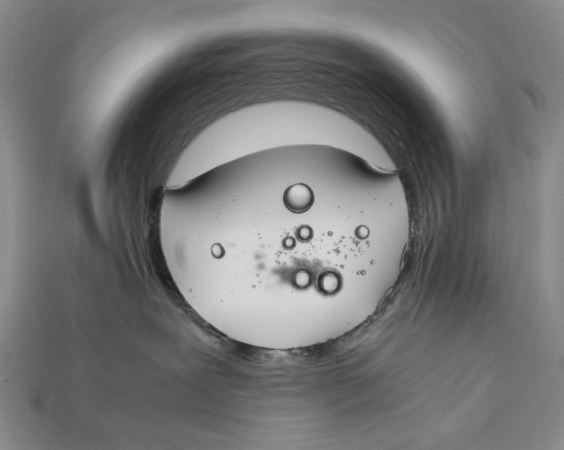 X0000112400239200909110936