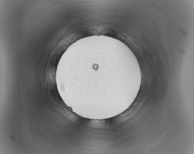 X0000112400240200909110936