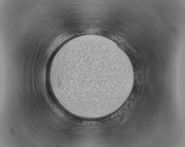 X0000112400242200909110935
