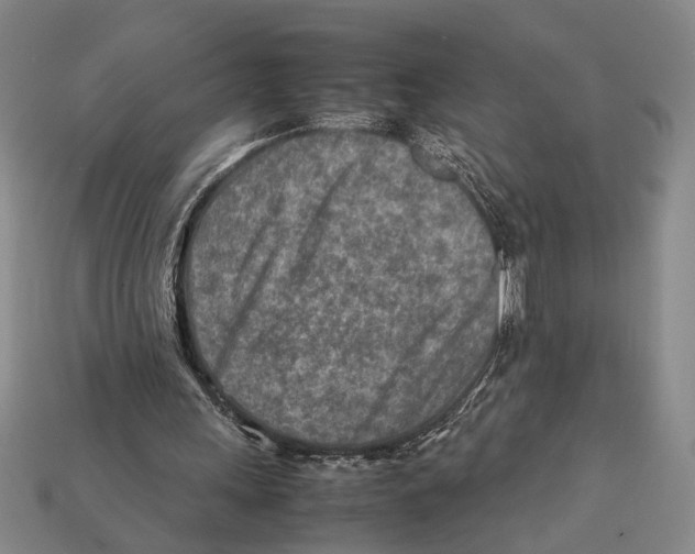 X0000112400243200909110935