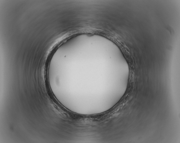 X0000112400244200909110935