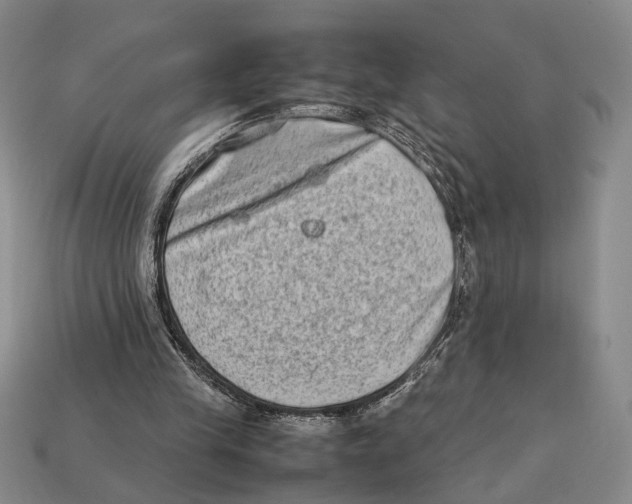 X0000112400245200909110935