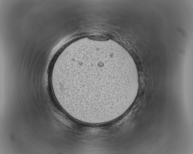 X0000112400246200909110935