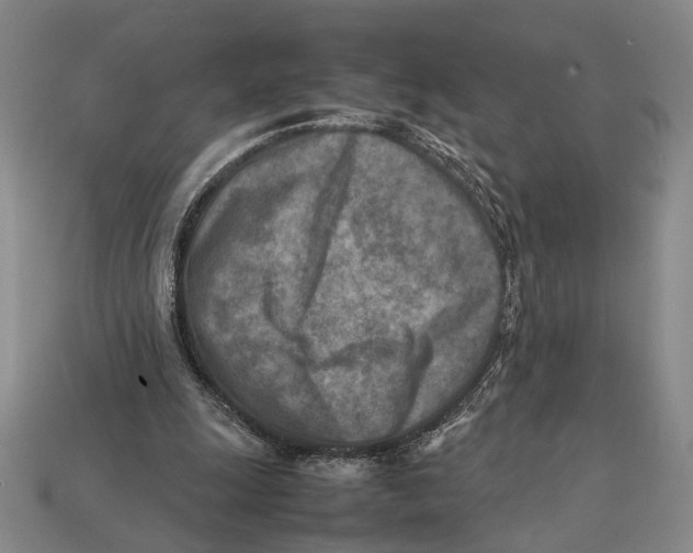 X0000112400247200909110935