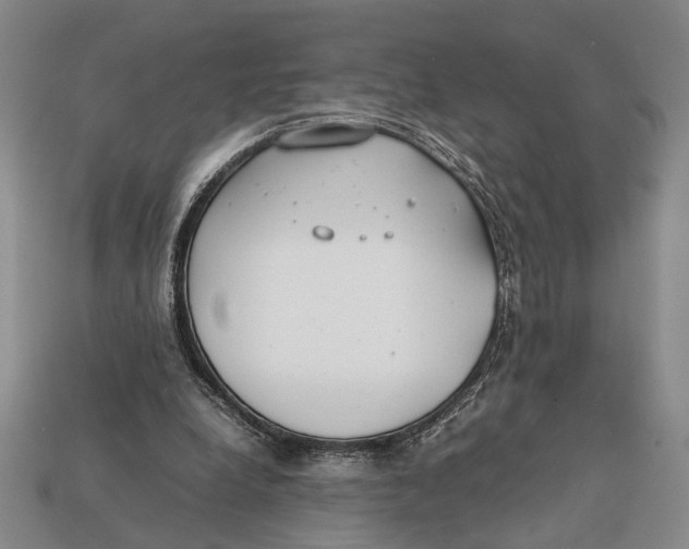 X0000112400248200909110935