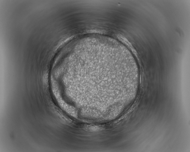 X0000112400249200909110935
