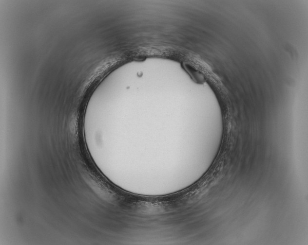 X0000112400250200909110935